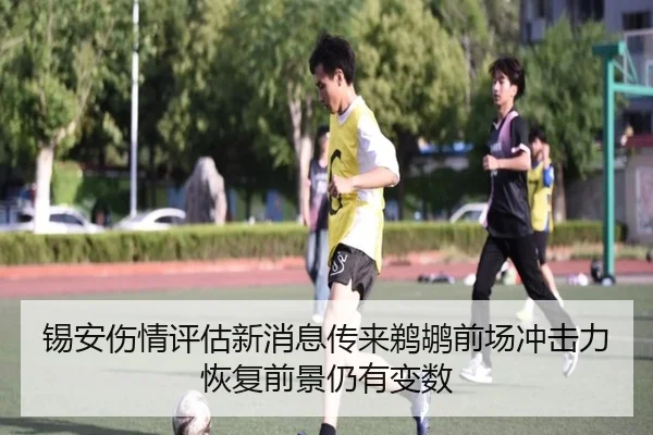 锡安伤情评估新消息传来鹈鹕前场冲击力恢复前景仍有变数